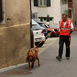 K9SLT